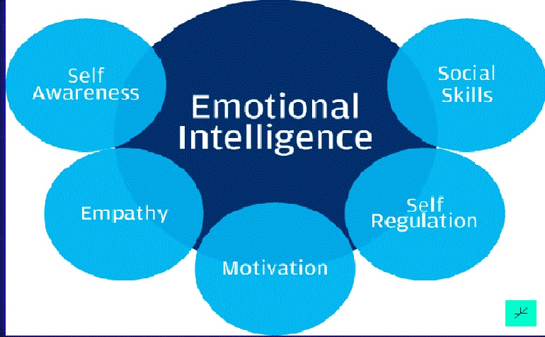 FDP Emotional intelligence